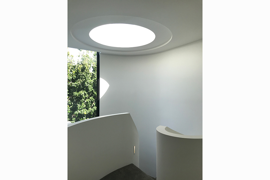 Wallace Grove, Brighton